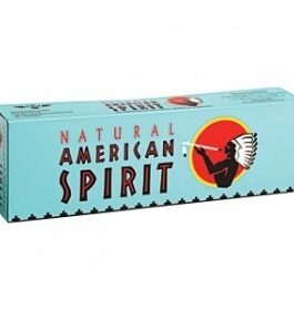AMERICAN SPIRIT-FULL BODIED TASTE CIGARETTES (1 CARTON OF 10 PACKS)